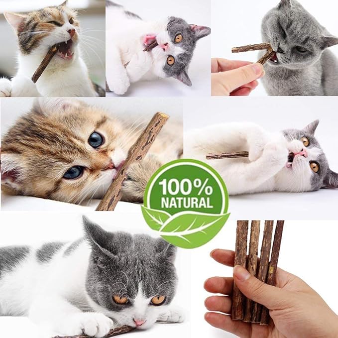 Cat Catnip Sticks Natural Matatabi Silvervine Sticks - Cleaning Teeth Molar Tools Kitten Cat Chew Toy Natural Catnip Cat Toy (10 PCS)