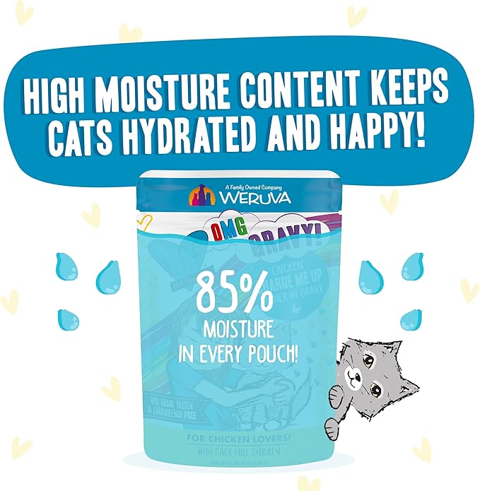 Weruva B.F.F. OMG - Best Feline Friend Oh My Gravy!, Chicken Charge Me Up with Chicken in Gravy, 2.8oz Pouch (Pack of 12)