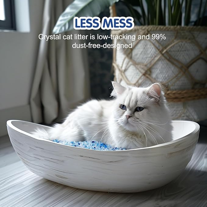 COCOYO Disposable Wet Wipes for Dogs & Cats I 300 Wipes for Cleaning and Deodorizing - Plant-Based, Hypoallergenic Pet Wipes for Puppies - Wipes for Paws, Butt, & Body - Fragrance Free