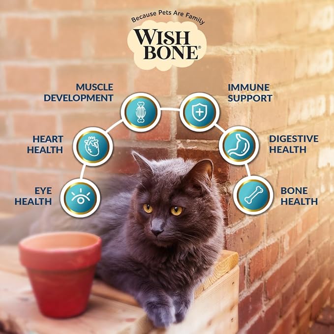 Wishbone Roost New Zealand Chicken, Gluten Free, Grain Free Dry Cat Food - Premium Chicken Recipe Cat Food for Overall Pet Health - 4 lb