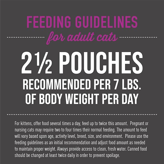 Tiki Cat Aloha Friends, Chicken, Pumpkin & Duck, Grain-Free & High Moisture, Wet Cat Food for All Life Stages 2.5 oz. Pouch (Pack of 12)