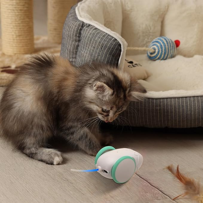 Robot Mouse Cat Toy for Indoor Cats,Automatic Cat Mouse Toy with LED Light,Smart Sensing Moving Electric Cat Toys with Replaceable Feather,Simulated Mouse Calls,USB Rechargeable
