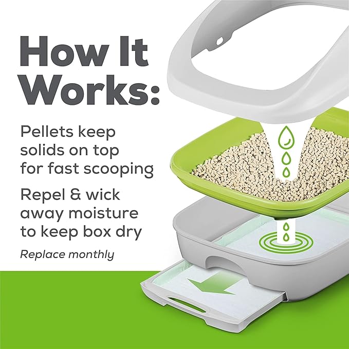 Aurora Pet Bundle (2) Tidy Cat Breeze Enhanced Active Clean Scent Cat Litter Pellets, Refill 3.5 lb with Aurora Pet Wet Wipes