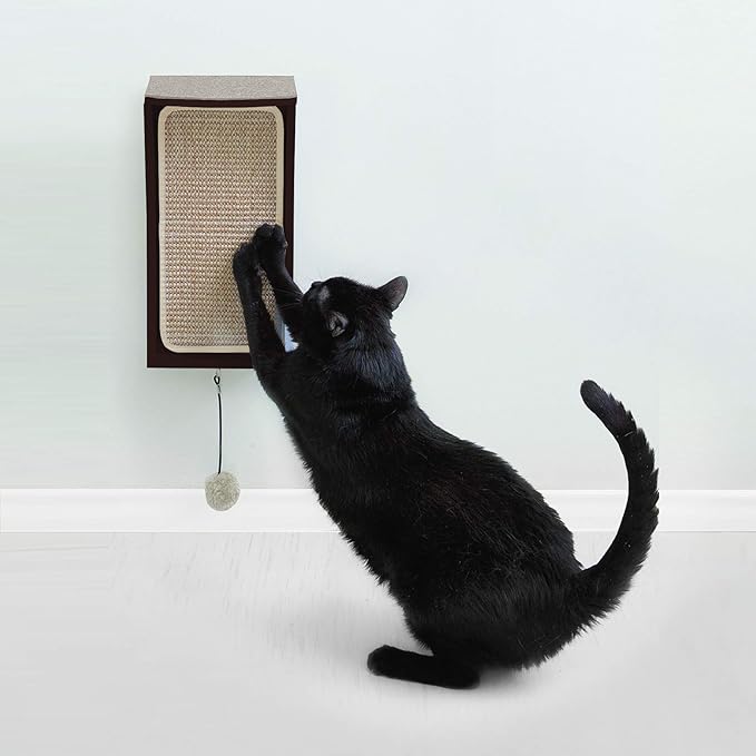 Hauspanther CATchall - Wall Mounted Cat Scratcher Toy Storage & Perch, Espresso (55140)