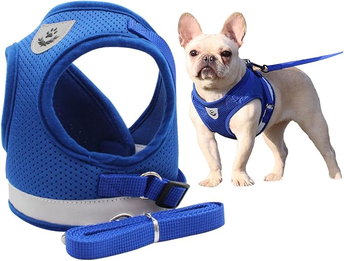 Comfort Step-in Cat Dog Harness and Leash Set for Puppies Cats Kitty Escape Proof Pet Vest Harnesses for Small Animals Rabbit/Mouse/Cats (Large, Blue)