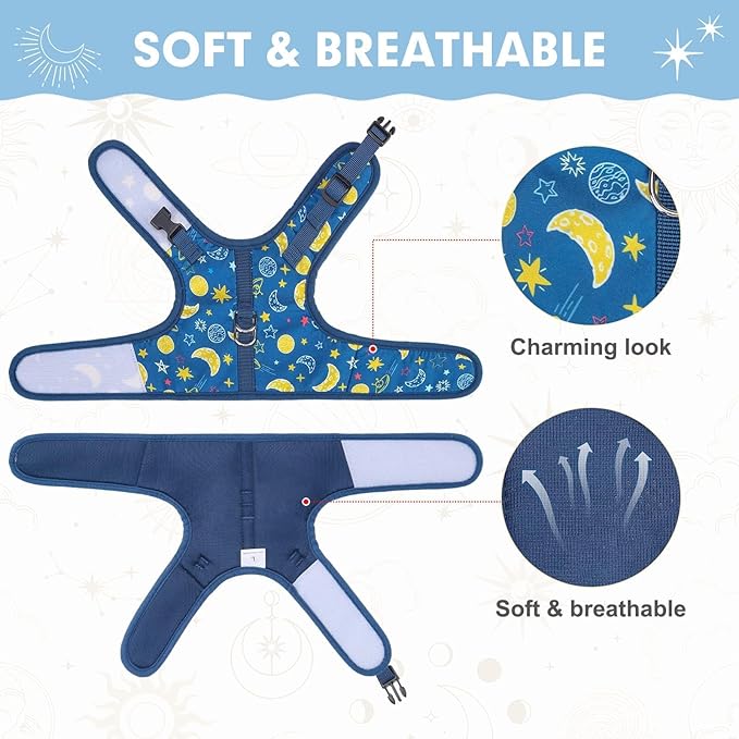 BINGPET Cat Harness with Leash Escape Proof - Fashionable Mesh Cat Dog Walking Harness Leads, Adjustable for Kitties Puppies Small Animals,Galaxy,S