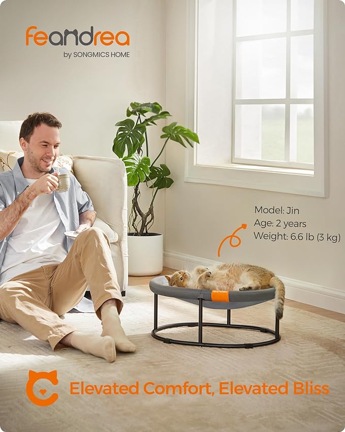 Feandrea Pet Bed, Cat Hammock, Elevated Cat Bed for Multiple Cats, with Removable Washable Mesh, for Pets up to 20 lb, Oval, Gray UPCB001G01