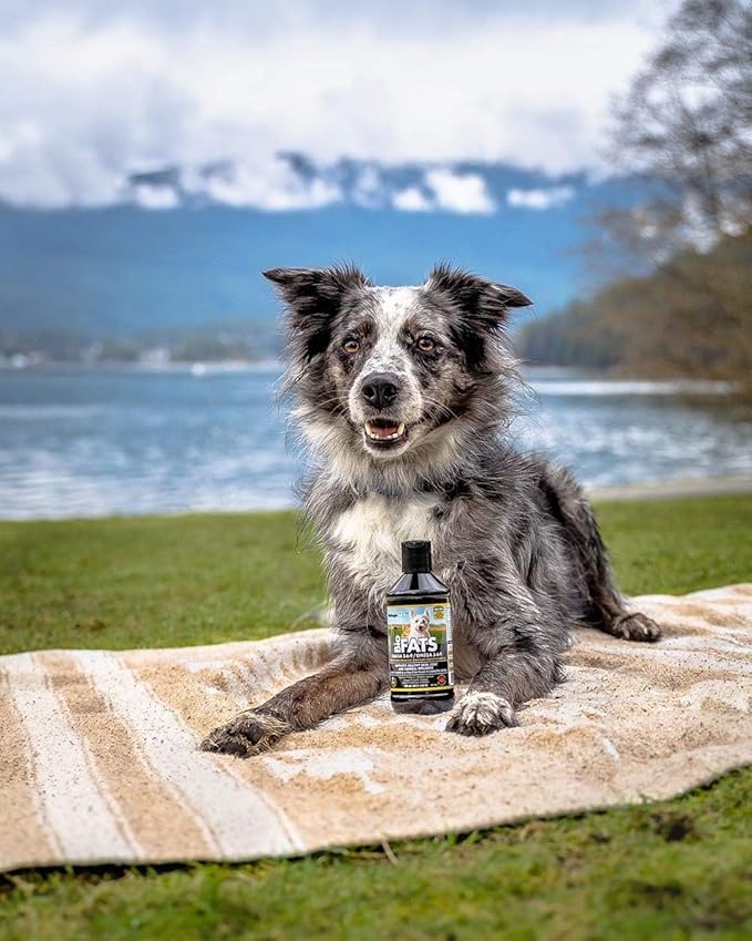 BioFATS Omega 3-6-9 Fatty Acid with EPA & DHA, Supports Healthy Skin, Coat and General Wellness, 94-Day Supply for 30-lb. Animal, 12-fl. oz. Bottle