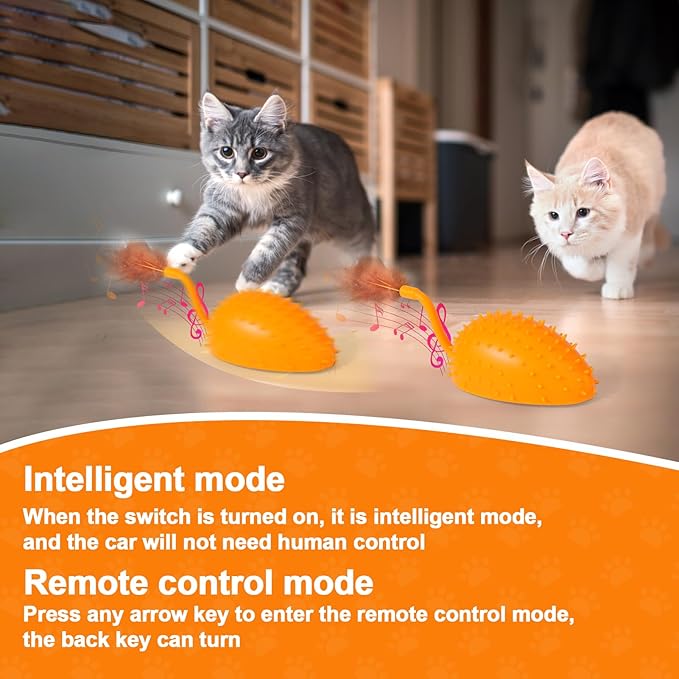 BABORUI Upgraded Cat Interactive Toy, Remote Control Mouse Toy, Automatic Cat Mouse Toys with Feathers, Moving Smart Cat Toy Car for Indoor Cats, USB Rechargeable