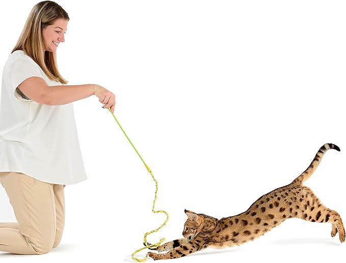 RompiCatz Rustlin' Mylar Teaser Wand and Interactive Cat Toy, Wiggler