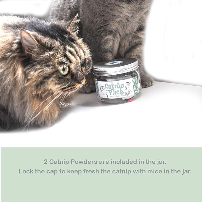 Catnip Mice for Cat Toys with Rattle Bell Mouse Kitty Toys (White & Grey)