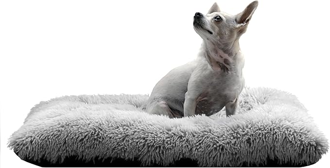 Washable Dog Cat Bed, Washable Pet Bed, Cat Beds for Indoor Cats, Dog Bed Medium Size Dog, Small Dog Bed, Comfortable Bed for Dogs and Cats (Small 25L x 19W x 5Th inches)