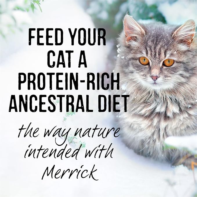 Merrick Backcountry Grain Free Gluten Free Premium High Protein Wet Cat Food, Turkey Recipe Cuts With Gravy - (Pack of 24) 3 oz. Pouches