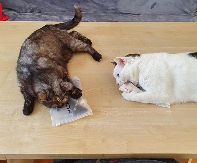 Set of 10 Toy mice 10 Pieces with Bell and Without Plastic Parts Outside (Eyes, Nose) I Soaked in Catnip Cat Toy