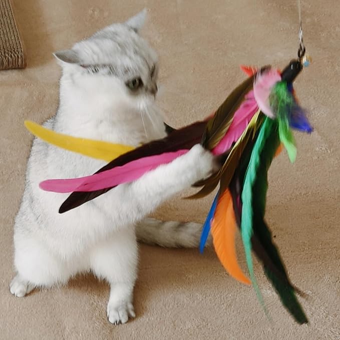 Da Bird Feather Refill - 2 Extra-Large Natural Feather Replacement Attachments(13.8inch) and 4 Feather Toys Refills(5.8inch) for Indoor Cats (6PCS)