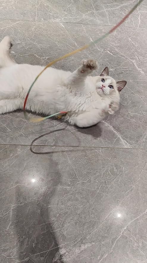 Fashion's Talk Cat Wand Interactive Fabric Teaser Wand Kitten, Christmas Ribbons Wand Rainbow Teaser Toys for Indoor Cats Kitty Colorful Cat Teaser Wand