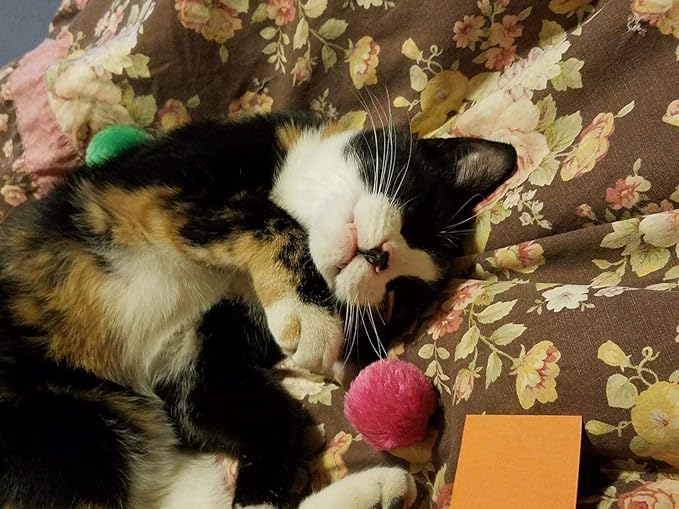 Fashion's Talk Cat Toys Furry Rattle Ball for Kitty 12 Pack