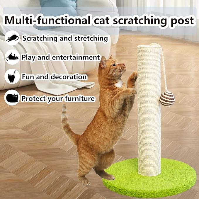 17 Inch Tall Cat Scratching Post Cat Scratcher- Sisal Rope and Carpet Scratching Pole with Hanging Ball Toy for Adult Cats and Kittens (Green)