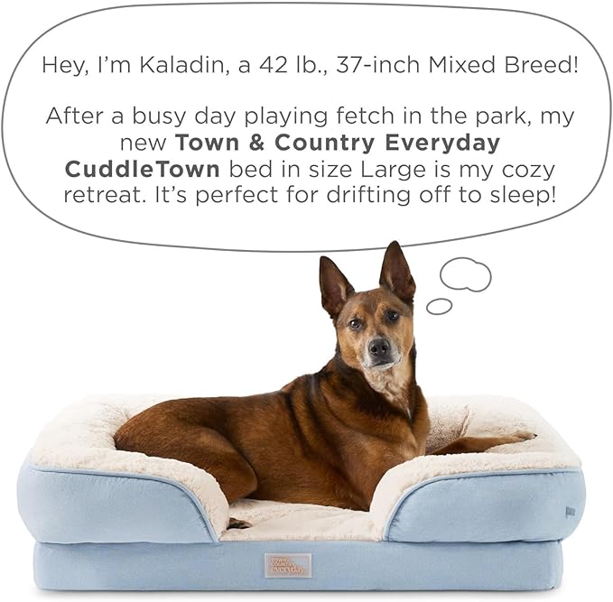 TOWN & COUNTRY EVERYDAY CuddleTown Comfy Solid Bolster Sofa Pet Bed, Supportive & Calming Egg Crate Foam, Water Repellent, Non-Slip Bottom, Machine Washable Cover, Beige, Large 35"x25"x8"