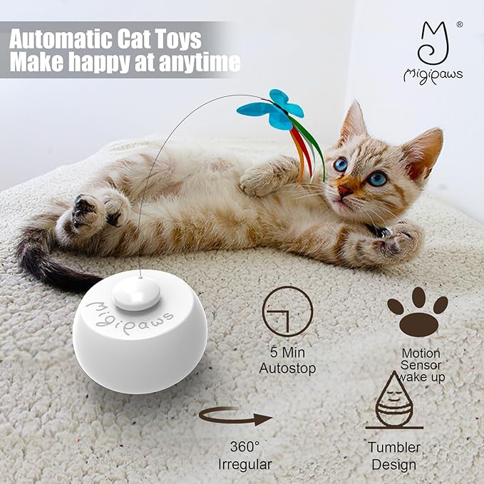 Migipaws Cat Toys Interactive Butterfly Feather Mice Spin with Smart Rolling Ball for Indoor Kittens Self Play Automatic Sensing Kitty Teaser Wand 3 Refills