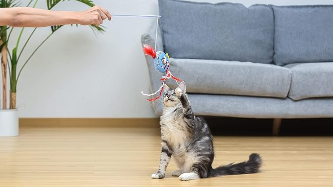 Peanuts Snoopy Catnip Wand Cat Toy Interactive Toy for Cats, Dancing Teaser with Ribbons | Cat Exercise Toy with Feathers and Catnip, 12 Inch (FF19710)