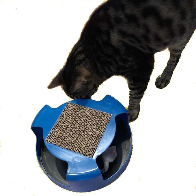 Catch The Mouse Interactive Chase Toy with Scratch Pad