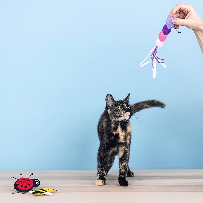 Fringe Studio "Living The Bug Life, Set of 3, Cat Toy Mini Sets, Pet Shop Collection (904041)