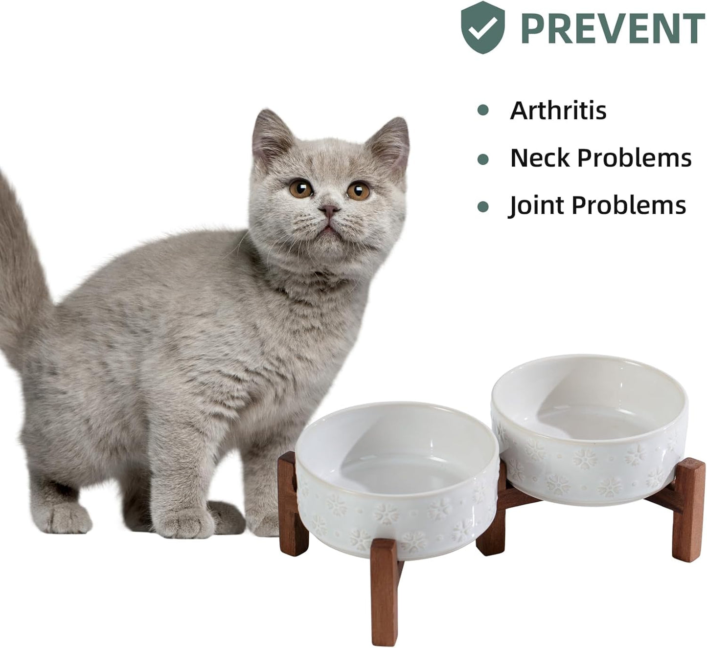 Ceramic 5.1inch Raised Double Bowls Set with Acacia Wood Stand, 2 Heights Elevated, Food & Water Bowls for Puppy, Kitty, Cats(13.5oz, Arctic White)