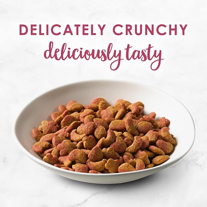 Aurora Pet Variety Pack (3) FF Gourmet Dry Cat Food (1) Filet Mignon (1) Ocean Fish & Salmon (1) Chicken & Turkey with AuroraPet Wipes