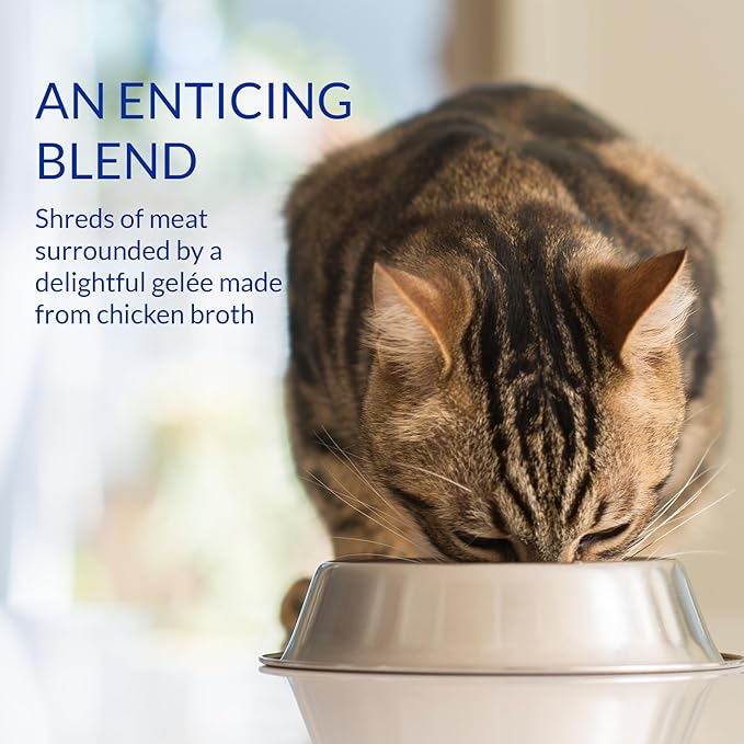 INABA Churu Stew for Cats, Broth Gelée with Shredded Chicken Side Dish Pouch with Vitamin E, 1.4 Ounces per Pouch, 12 Pouches, Chicken & Tuna Variety