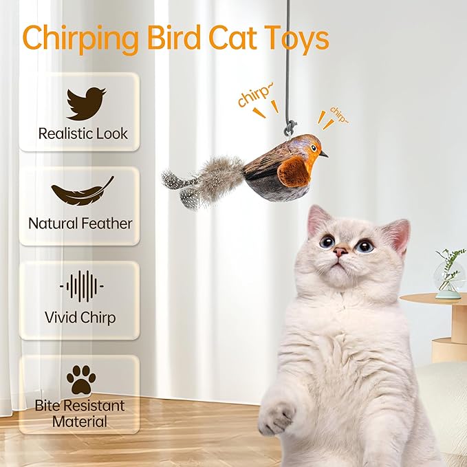 Chirping Bird Cat Toys Hanging Cat Feather Toy - Catnip Interactive Cat Toys for Indoor Cats - Automatic Cat Toy for Cat Exercise & Kicker to Self Play (Chroma)