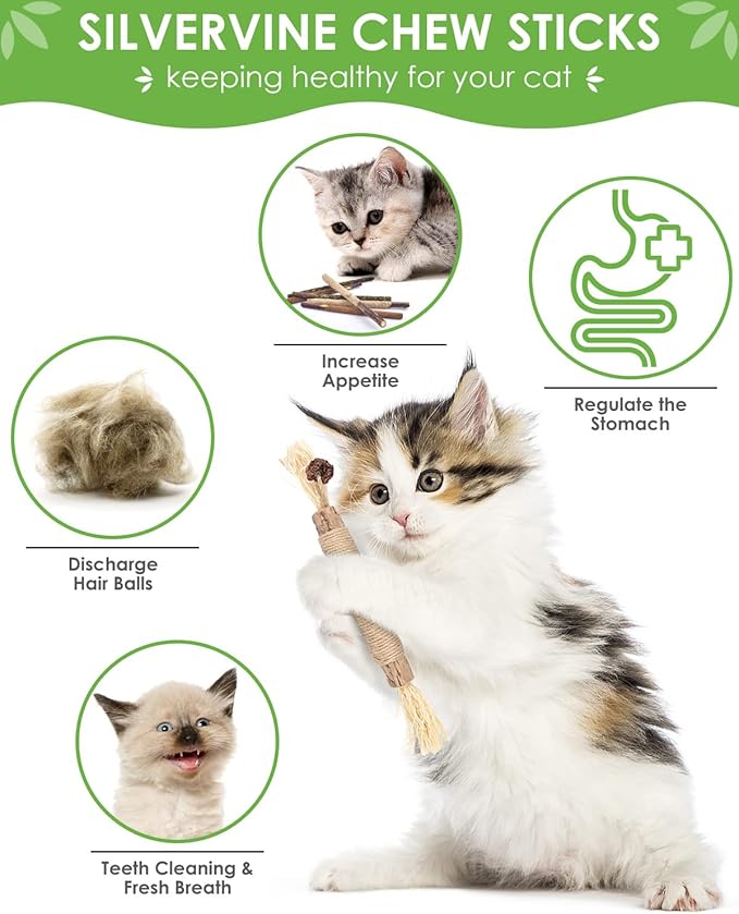 TINDTOP Silvervine Sticks, 10 Pack Natural Catnip Chew Toys for Kittens Teeth Cleaning, Increase Appetite, Calm Anxiety and Stress, Aggressive Chewers Toy