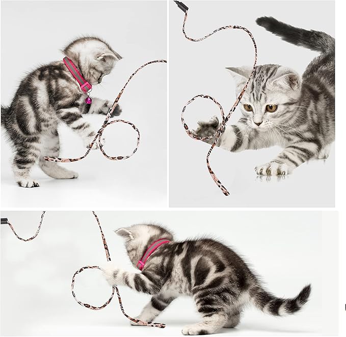 Molain Cat Wand Rainbow Toy, 5pcs Rainbow Wand for Kittens Training Rainbow Ribbon Interactive Cat Wand Stick Toy for Kitten Cat Indoor Exerciser Playing(30cm, Leopard Print)