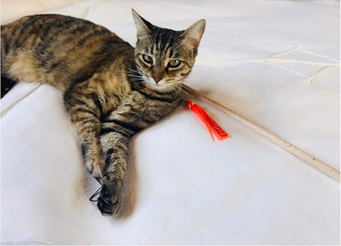 Dynamic Cat Toy | Orange with Black Stripes | Natural Birch Wood Rod Teaser and Exerciser for Cats and Kitten | Interactive Soft | Handcrafted in The USA