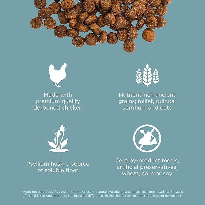 Go! Solutions Digestion + Gut Health, Dry Cat Food, Chicken Recipe with Ancient Grains, 3 lb Bag