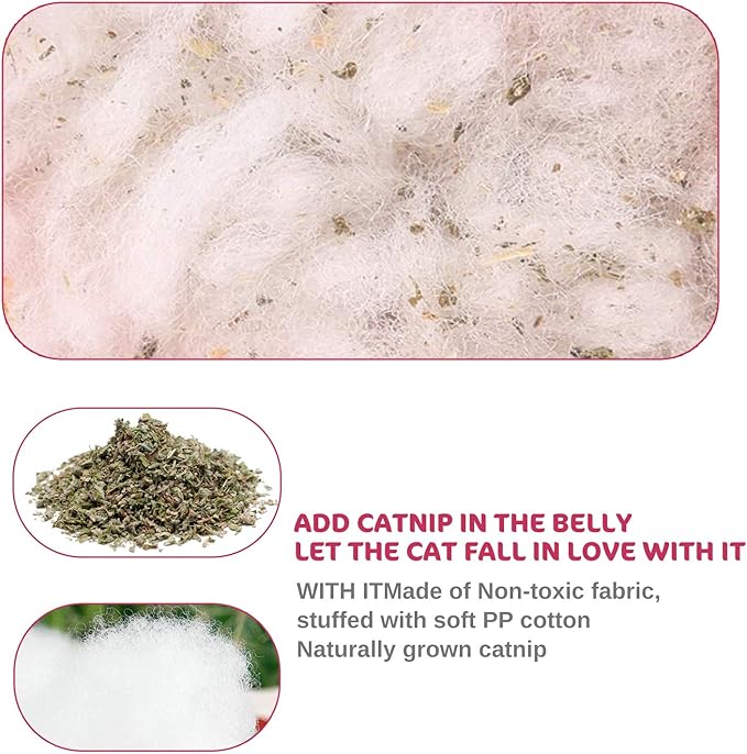 Legendog 5Pcs Catnip Toy, Cat Chew Toy Bite Resistant Catnip Toys for Cats,Catnip Filled Cartoon Mice Cat Teething Chew Toy (Multicolor1)