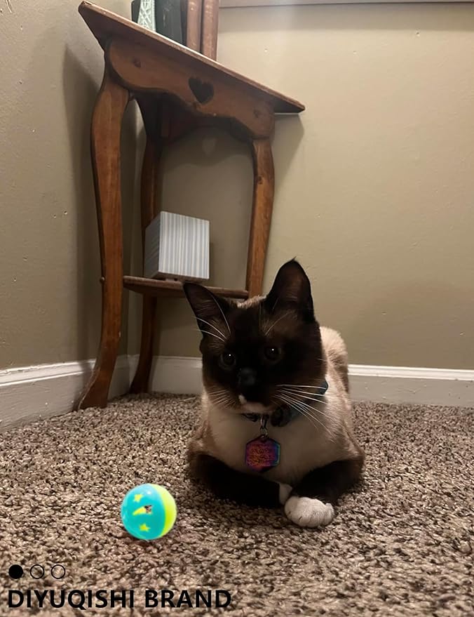 Cat Toys – 14PCS Set with Organic Catnip for Indoor Cats – Sturdy, Safe, and Fun Toys for Cats