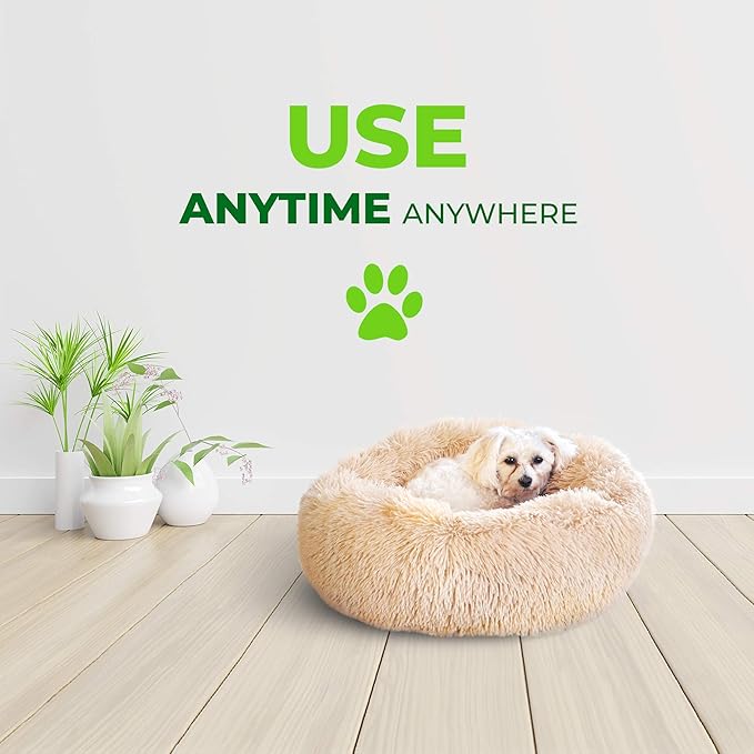 Whiskers & Friends Cat Bed, Cat Beds for Indoor Cats Washable, Small Dog Bed Calming Pet Bed, Cat Beds & Furniture, Large Cat Bed, Kitty Kitten Bed