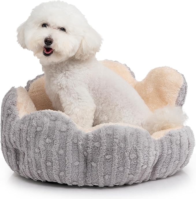 Hollypet Cozy Cat Beds for Indoor Cats - Cute Cactus Pet Bed, Fluffy Puppy Bed, Non-Slip Extra Small Dog Bed, Gray