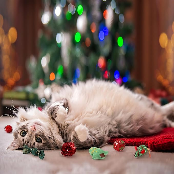 Shappy 31 Pcs Christmas Cat Toy Gifts Bag Set Assorted Toys Variety Cat Christmas Toys Xmas Gift Set for Kitten Kitty