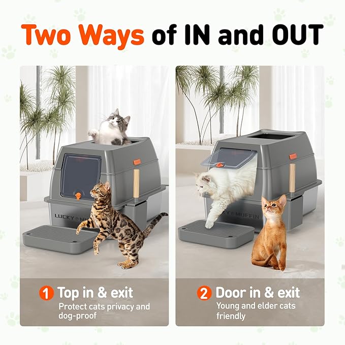 3 in 1 Premium Stainless Steel Cat Litter Box with Removable Lid, Enclosed XL Extra Large High-Sided Metal Box for Big Kitty with Scoop, Top Entry, Odor Control, Anti-Leakage, Non-Sticky & Easy Clean