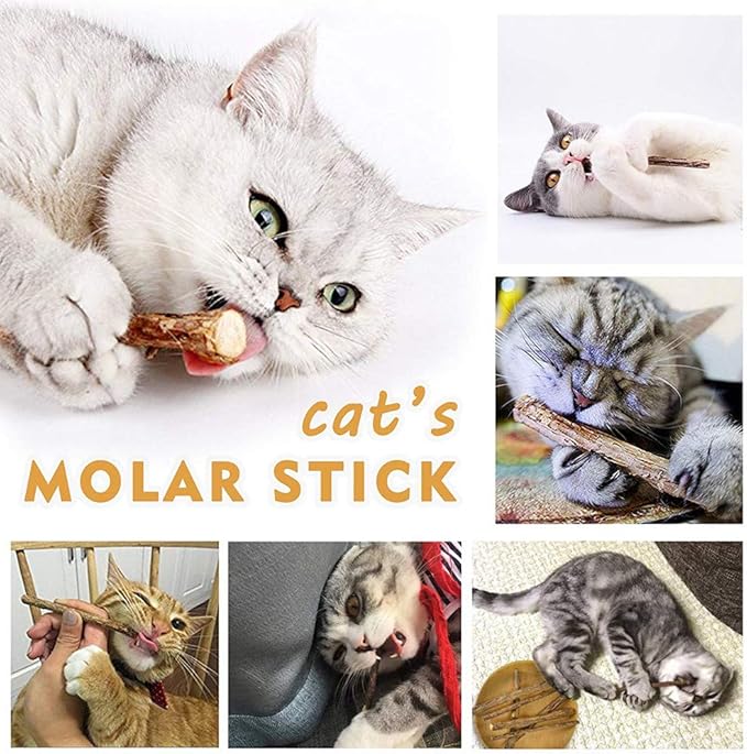 Cat Catnip Sticks Natural Matatabi Silvervine Sticks - Cleaning Teeth Molar Tools Kitten Cat Chew Toy Natural Catnip Cat Toy (10 PCS)