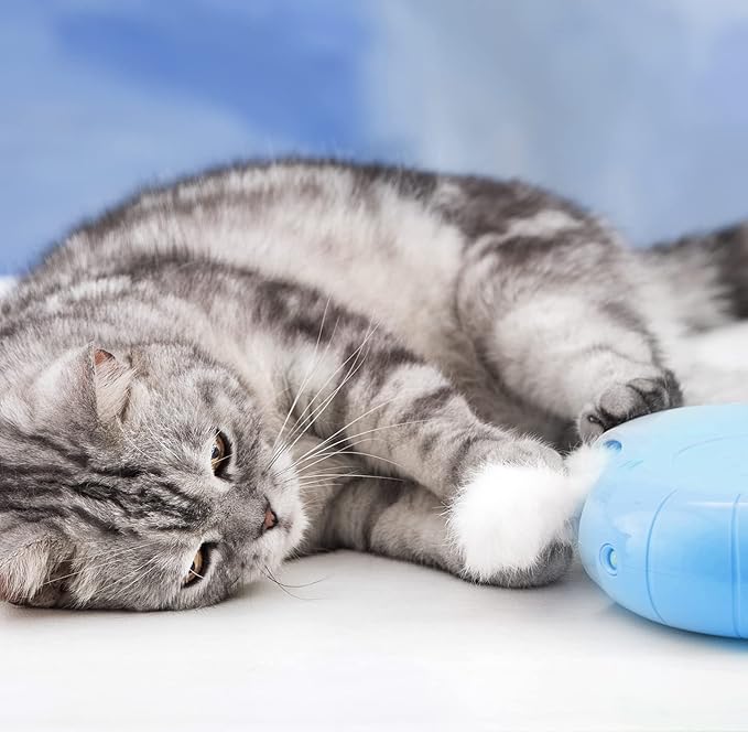 Migipaws Hide and Seek Replacements,2 Plush Balls with Catnip,2 Plush Tails with Catnip,Kitty Kitten Catnip Exercise Toys