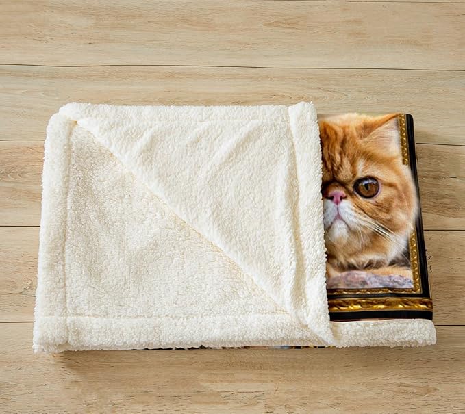 Feelyou Garfield Print Fleece Throw Blanket for Bed Sofa Couch Cute Cat Plush Blanket Twin 60"x80" Kawaii Kitten Sherpa Blanket Gift for Garfield Lover Fuzzy Blanket Flannal Blanket