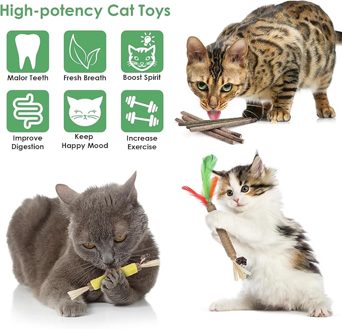 Bissap 16 PCS Silvervine Chew Sticks for Cats, Catnip Chew Sticks Cat Toys for Indoor Cat Kitten Teeth Grinding Interactive Feather Toys for Aggressive Chewers Dental Care