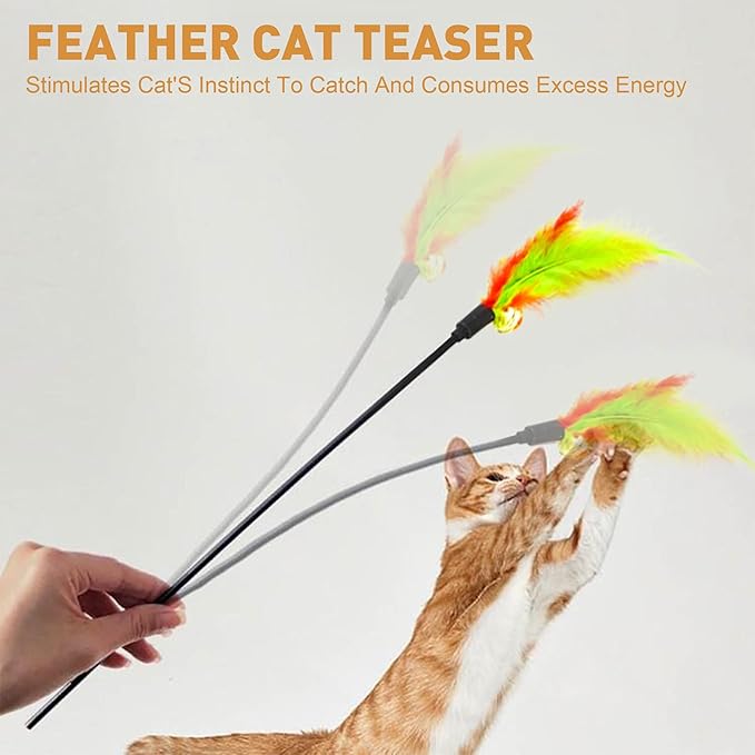 10Pcs Interactive Cat Toys Feather Toys Cat Toys Wand with 10Pcs Cat Teaser Stick Storage Holder for Indoor Cats to Chase and Exercise