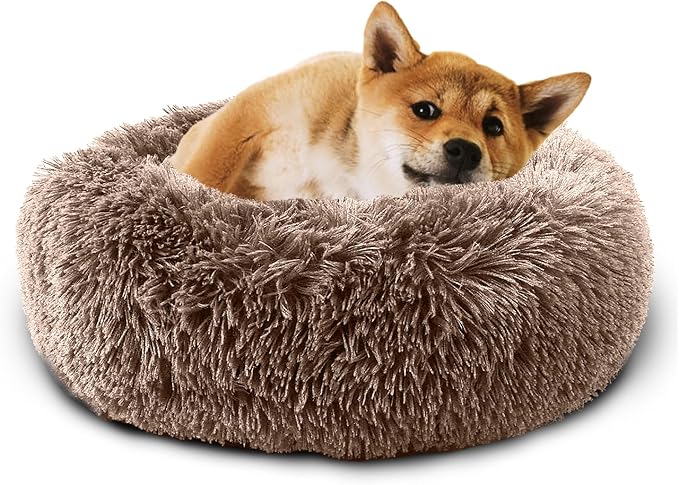 Dog Bed Comfiest Indoor Calming Waterproof Bedding Washable Fluffy Chew Proof Self Warming Cozy for Small Pets at Home Khaki