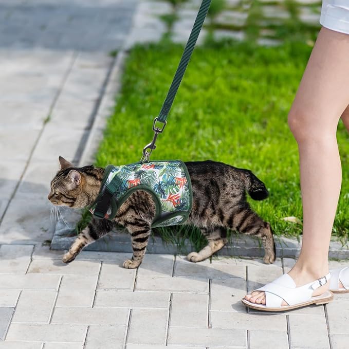 BINGPET Cat Harness and Leash Set Escape Proof for Walking,Step-in Harness with Lightweight Soft Breathable Mesh,Adjustable Easy Control Harness (Emerald Hues, M(Chest:10.5-13.5"))