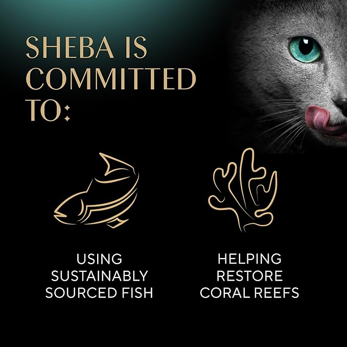 Sheba Perfect Portions Wet Cat Food Cuts in Gravy With Sustainable Salmon, 2.6 oz., Twin-Pack Trays (24 Count, 48 Servings)