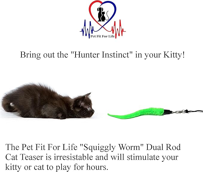 Pet Fit For Life Cat Wand Toy: 5-Piece Worm Teaser & Exerciser - Durable Flirt Pole/Cat Teaser Toy – Interactive Fun for Feline Fitness